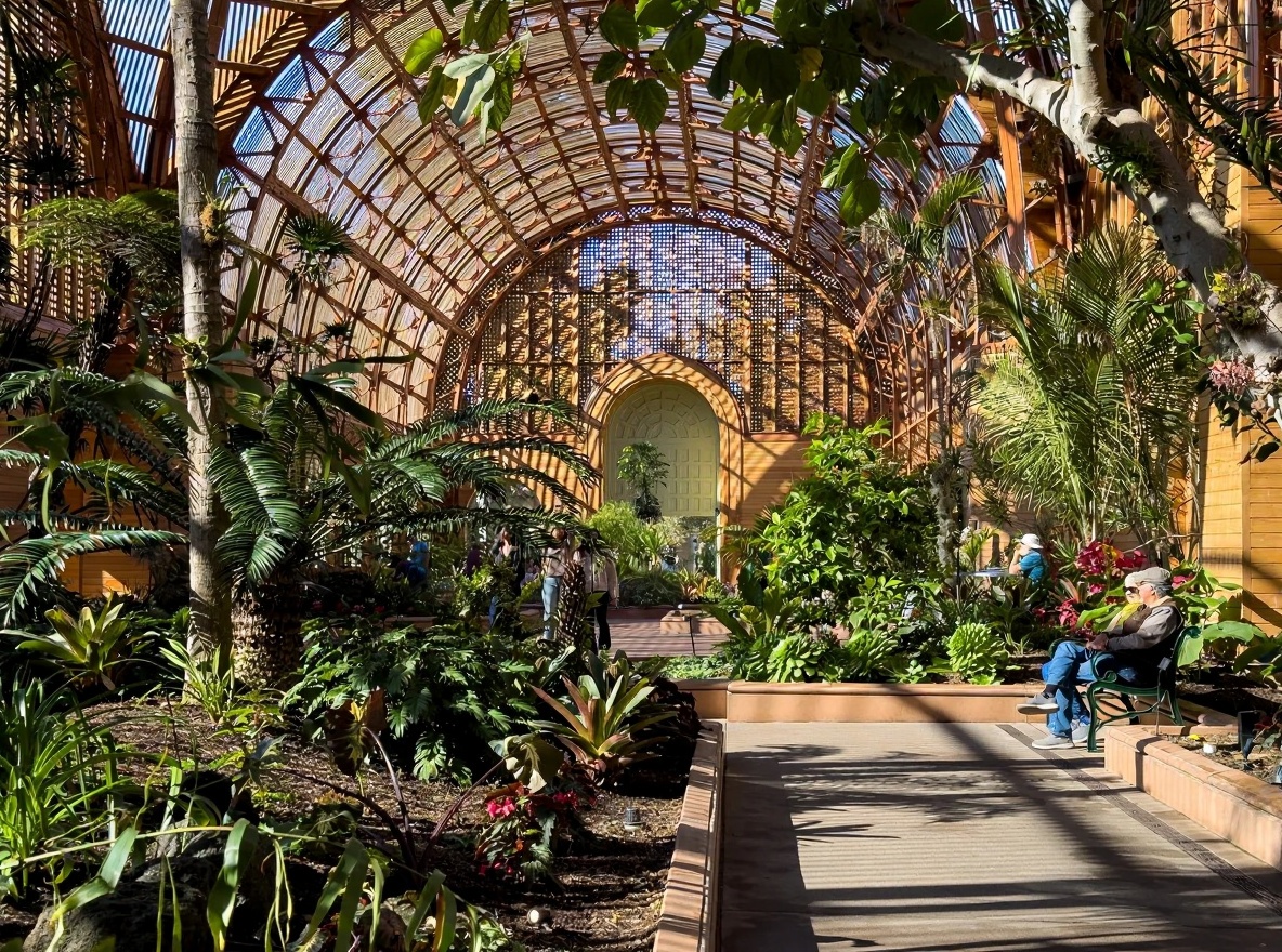 Lincoln Park Conservatory: The Quiet One — Lincoln Park Chicago, Vietnam